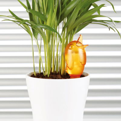 Scheurich Wasserspeicher 'Bördy', orange, 220 ml Scheurich Wasserspeicher 'Bördy', orange, 220 ml