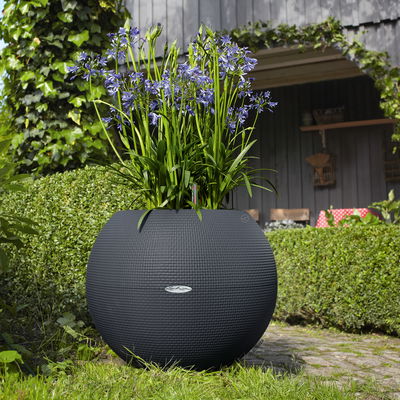 Lechuza 'Puro Color 50', schiefergrau, ca. Ø 50 x H 39 cm Lechuza 'Puro Color 50', schiefergrau, ca. Ø 50 x H 39 cm