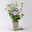 Duo-Gartenhibiskus 'Blue Chiffon®' und 'Pink Chiffon®', blau + pink, 5 lt. Topf
