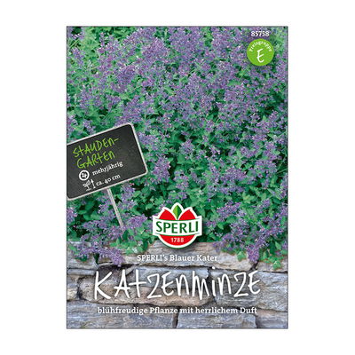 Blumensamen, Katzenminze 'Blauer Kater' Blumensamen, Katzenminze 'Blauer Kater'