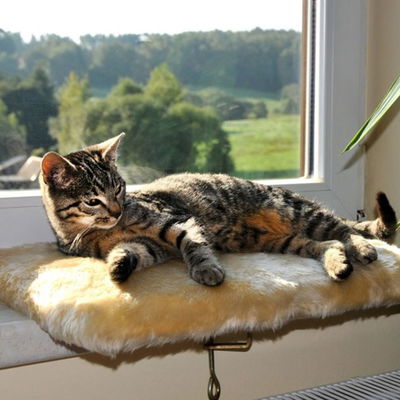 Silvio Design Katzen-Fensterliege Jacquard Plüsch beige Silvio Design Katzen-Fensterliege Jacquard Plüsch beige