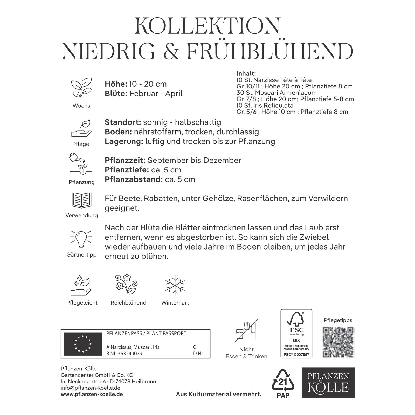 Kollektion kleinbleibende, frühblühende Blumenzwiebeln, 50 Blumenzwiebeln Kollektion kleinbleibende, frühblühende Blumenzwiebeln, 50 Blumenzwiebeln