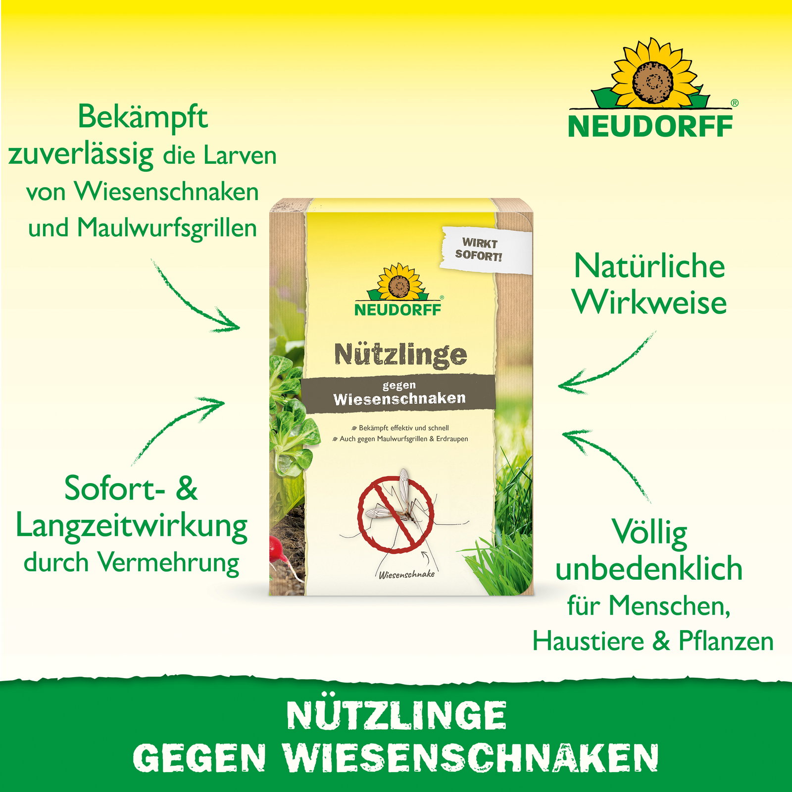 Neudorff Bestell-Set Nützlinge gegen Wiesenschnacken, 10 Mio Stück Neudorff Bestell-Set Nützlinge gegen Wiesenschnacken, 10 Mio Stück