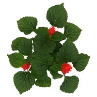 Ziersalbei rot, Topf-Ø 12 cm, 6er-Set