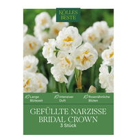 Gefüllte Narzisse 'Bridal Crown', gelb/weiß, 3 Blumenzwiebeln
