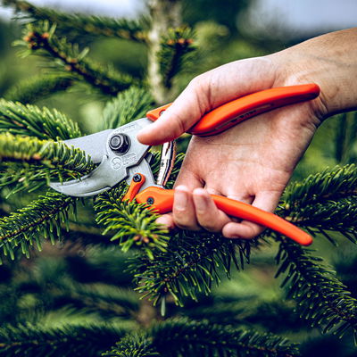 Gartenschere Original Löwe 9, Länge ca. 22 cm