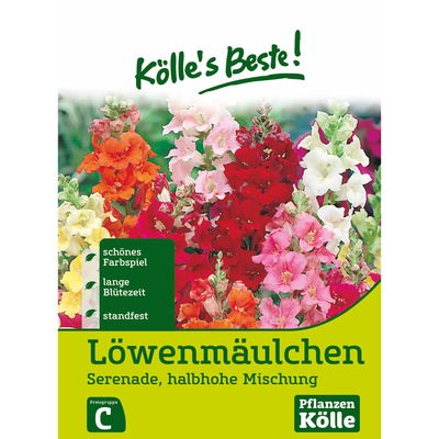 Kölles Beste Blumensamen Löwenmäulchen (Antirrhinum) 
