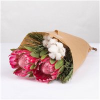 Blumenbund Protea 'Silvia' mit Seidenkiefer und Baumwolle inkl. gratis Grußkarte