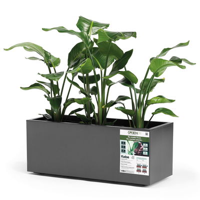 Euro 3 Plast Pflanzkasten 'Kebe', anthrazit, ca. 99,5 x 39,5 x H 39,5 cm Euro 3 Plast Pflanzkasten 'Kebe', anthrazit, ca. 99,5 x 39,5 x H 39,5 cm
