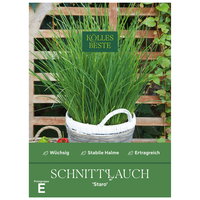 Kölles Beste Kräutersamen, Schnittlauch 'Staro'