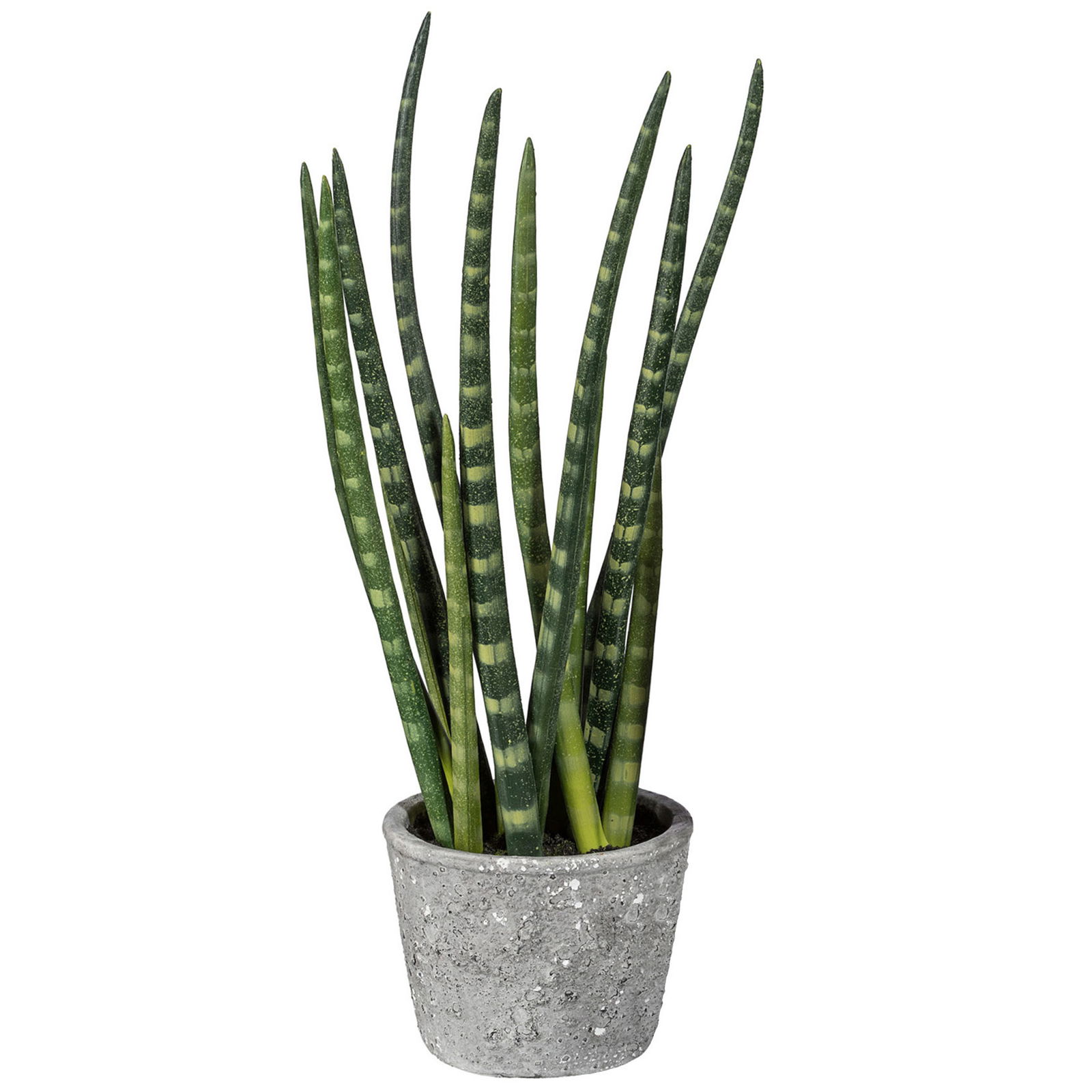 Kunstpflanze Sansevieria, Höhe ca. 45 cm