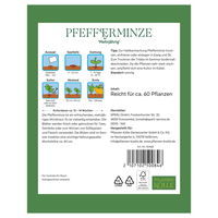 Kölles Beste Kräutersamen, Pfefferminze 'Mehrjährig'