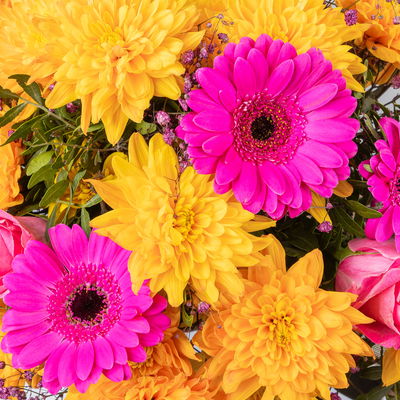 Blumenstrauß 'Prima' pink-orange, handgebunden Blumenstrauß 'Prima' pink-orange, handgebunden