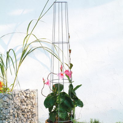 Aktions-Ranksäule, verzinkt, H130 x Ø28 cm