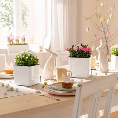 Lechuza 'Cube Glossy 16', weiß, ca. 17 x 17 x H 16 cm Lechuza 'Cube Glossy 16', weiß, ca. 17 x 17 x H 16 cm