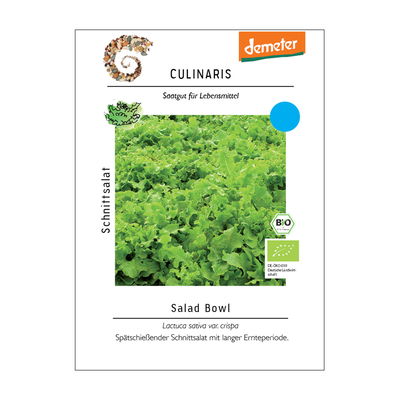 Saatgut, Eichblattsalat, Schnittsalat 'Salad Bowl' Saatgut, Eichblattsalat, Schnittsalat 'Salad Bowl'