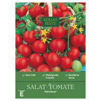 Kölles Beste Gemüsesamen, Salattomate 'Harzfeuer' Kölles Beste Gemüsesamen, Salattomate 'Harzfeuer'
