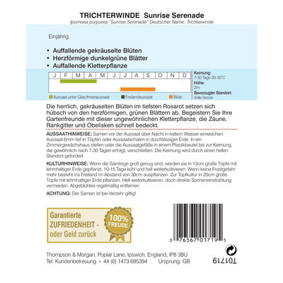 Thompson & Morgan Blumensamen Trichterwinde Sunrise Serenade Thompson & Morgan Blumensamen Trichterwinde Sunrise Serenade