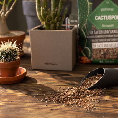 Lechuza Cactuspon, 6 Liter Lechuza Cactuspon, 6 Liter