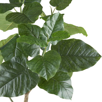 Künstliche Steinfeige 'Ficus petioralis', Höhe ca. 85 cm Künstliche Steinfeige 'Ficus petioralis', Höhe ca. 85 cm