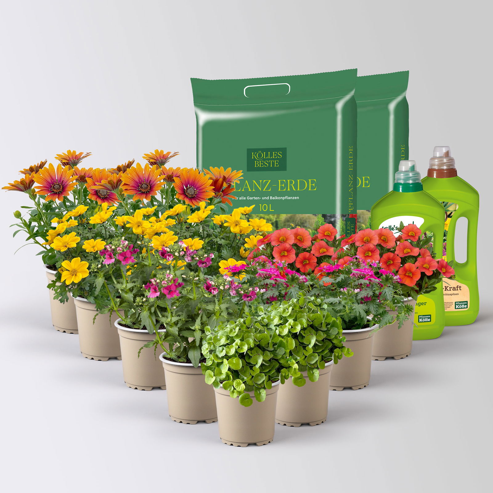 Pflanzenkreation 'Tequila Sunrise', 12 Pflanzen inkl. Erde und Dünger