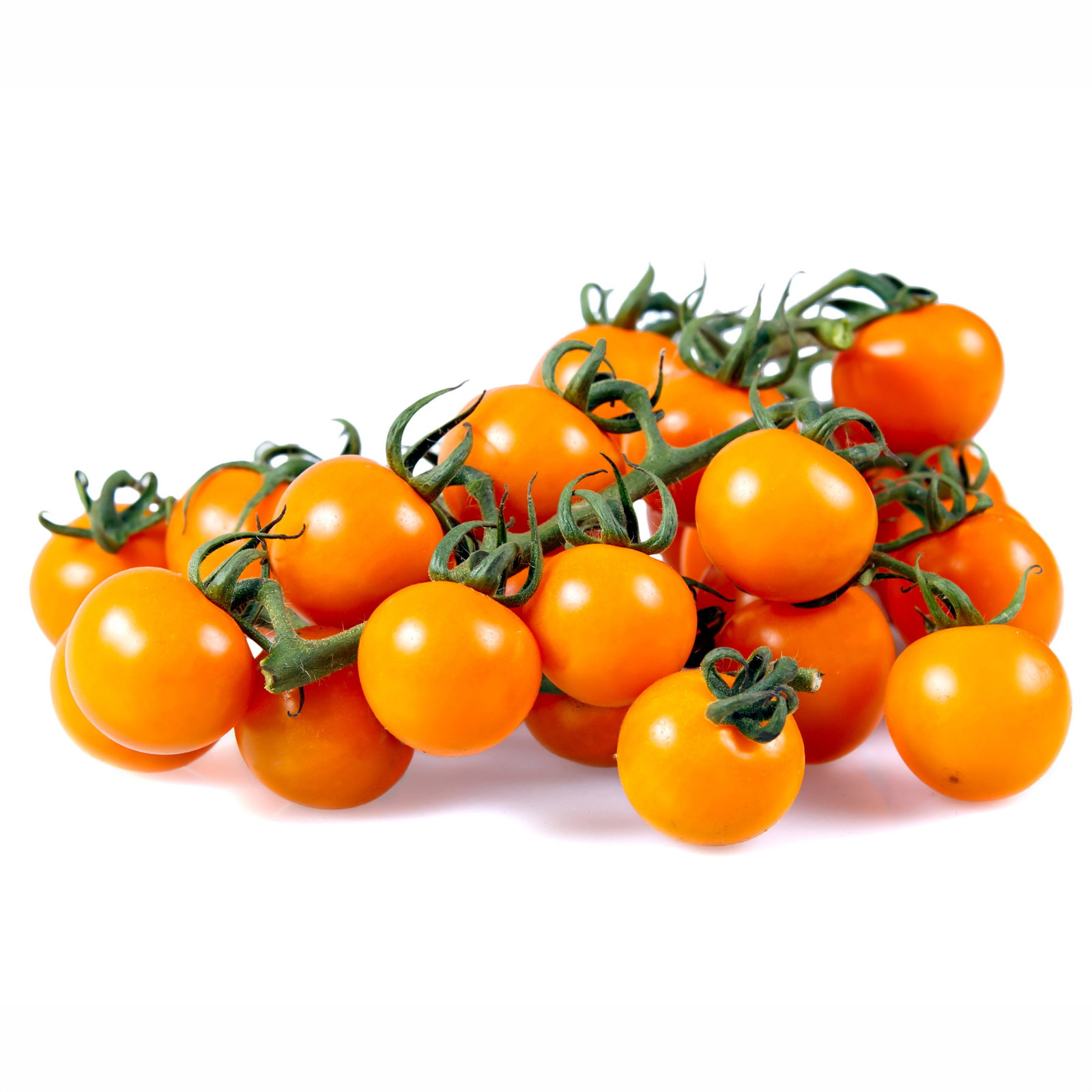 Bio Cherrytomate 'Honeycomb', Topf-Ø 12 cm, 3 Pflanzen
