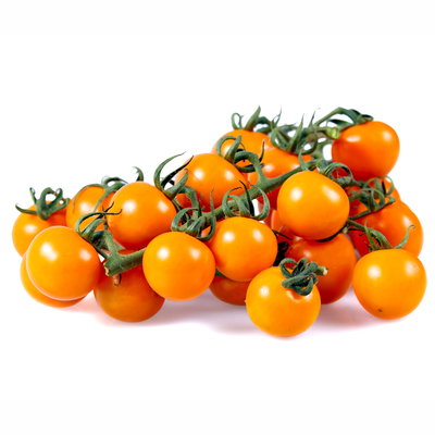 Bio Cherrytomate 'Honeycomb', Topf-Ø 12 cm, 3 Pflanzen
