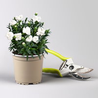 Pflanzenkreation 'Duft', 12 Pflanzen inkl. Erde und Dünger