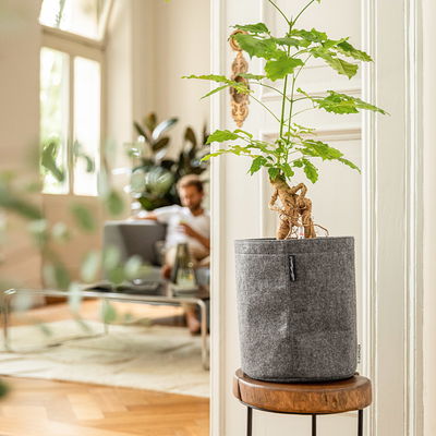 Lechuza 'Trendcover 23 Filz', dark grey, ca. Ø 23 x H 26,5 cm