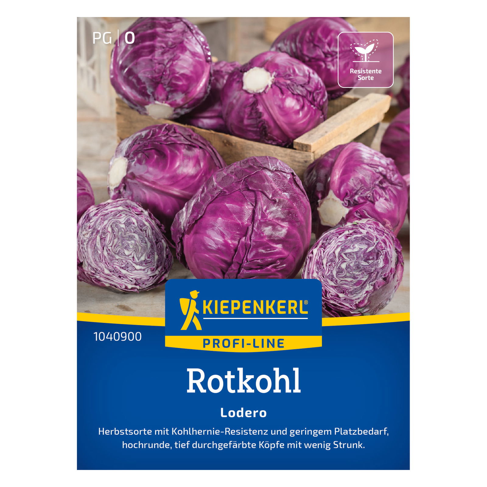 Kiepenkerl Saatgut Rotkohl 'Lodero®', rot