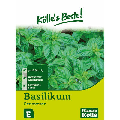 Kölles Beste Kräutersamen Basilikum Genoveser Kölles Beste Kräutersamen Basilikum Genoveser