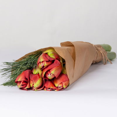 Schnittblumen-Mix aus 5 roten Amaryllis & 5 Seidenkiefer Schnittblumen-Mix aus 5 roten Amaryllis & 5 Seidenkiefer