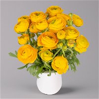 Blumenbund mit Ranunkeln, 15er-Bund, gelb, inkl. gratis Grußkarte