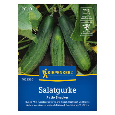 Kiepenkerl Saatgut Salatgurke 'Patio-Snacker®' Kiepenkerl Saatgut Salatgurke 'Patio-Snacker®'