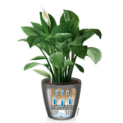 Lechuza 'Classico LS 28', scarlet-rot, ca. Ø 28 x H 26 cm Lechuza 'Classico LS 28', scarlet-rot, ca. Ø 28 x H 26 cm