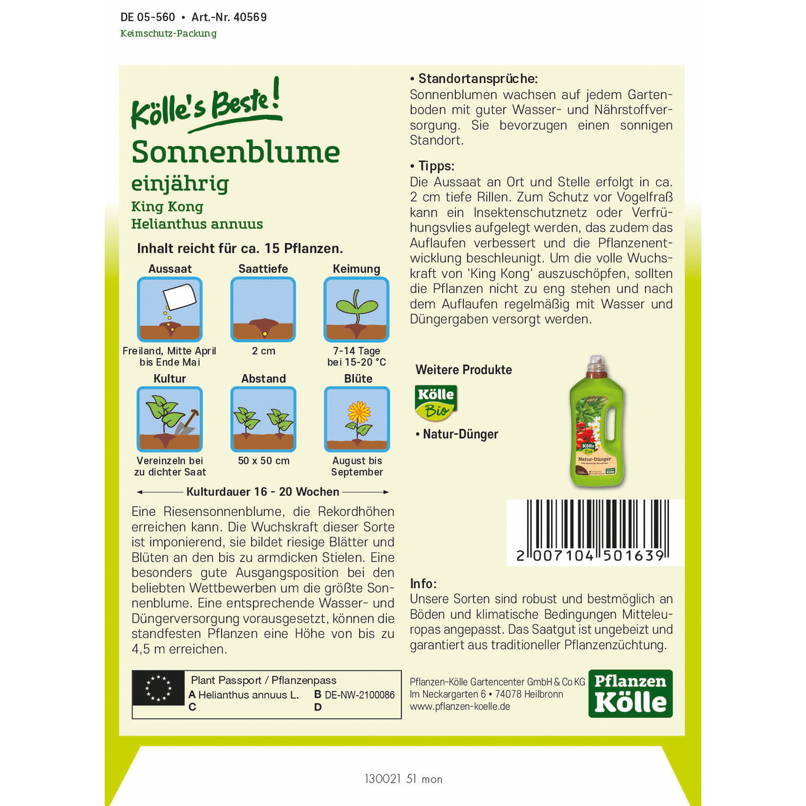 Blumensamen, Sonnenblume 'King Kong'