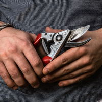 Felco Gartenschere Nr. 8 Felco Gartenschere Nr. 8