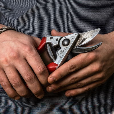 Felco Gartenschere Nr. 8 Felco Gartenschere Nr. 8