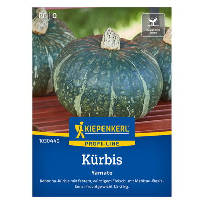 Kiepenkerl Saatgut Kürbis 'Yamato®' Kiepenkerl Saatgut Kürbis 'Yamato®'
