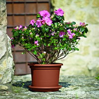 Euro 3 Plast Pflanzkübel 'Geo', terra, ca. Ø 45 x H 34 cm