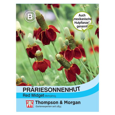 Samenmischung Präriensonnenhut 'Red Midget', gelb-orange Samenmischung Präriensonnenhut 'Red Midget', gelb-orange