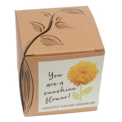 Anzuchtset Teddybär-Sonnenblume, Saatgut und Anzuchterde inklusive Anzuchtset Teddybär-Sonnenblume, Saatgut und Anzuchterde inklusive