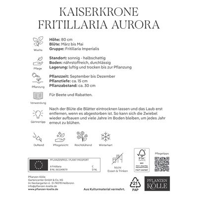 Kaiserkrone (Fritillaria Imperialis Aurora) orange, 1 Blumenzwiebel