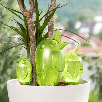 Scheurich Wasserspeicher 'Bördy', grün, 1 Liter Scheurich Wasserspeicher 'Bördy', grün, 1 Liter