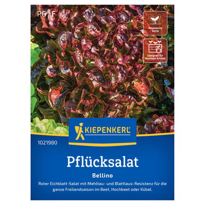 Kiepenkerl Saatgut Pflücksalat 'Belino' Kiepenkerl Saatgut Pflücksalat 'Belino'