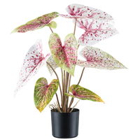 Kunstpflanze Caladium 'Miss Muffet' im Topf, Höhe ca. 55 cm