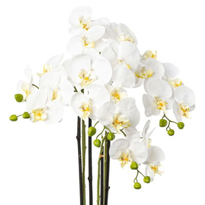 Kunstpflanze Phalaenopsis, weiß, Höhe ca. 83 cm Kunstpflanze Phalaenopsis, weiß, Höhe ca. 83 cm