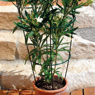 Haltesäule für Töpfe 'CONO', grün, H90 x Ø20-40 cm Haltesäule für Töpfe 'CONO', grün, H90 x Ø20-40 cm