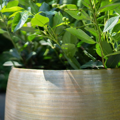 Kölle Pflanzgefäß 'Rowen', gold, 4-teiliges Set