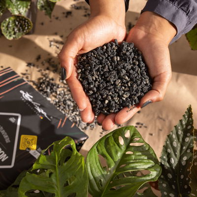 Lechuza Blackstonepon, 12 Liter Lechuza Blackstonepon, 12 Liter